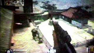 Call Of Duty World at War Wii- Castle Rooftop Glitch
