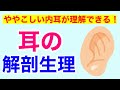 【11分で解説、15分で国試】耳の解剖生理について解説！