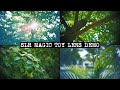 SLR Magic Toy Lens Demo - SLR Magic Toy Lens 26mm f/1.4 + Sony A7S II
