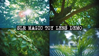 SLR Magic Toy Lens Demo - SLR Magic Toy Lens 26mm f/1.4 + Sony A7S II