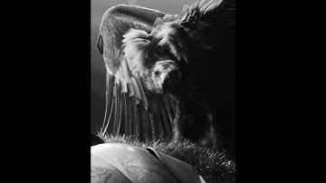 Thumbnail of WOW🔥🔥🔥🔥New song and music video from Falling in Reverse “God Is A Weapon” (Marilyn Manson)