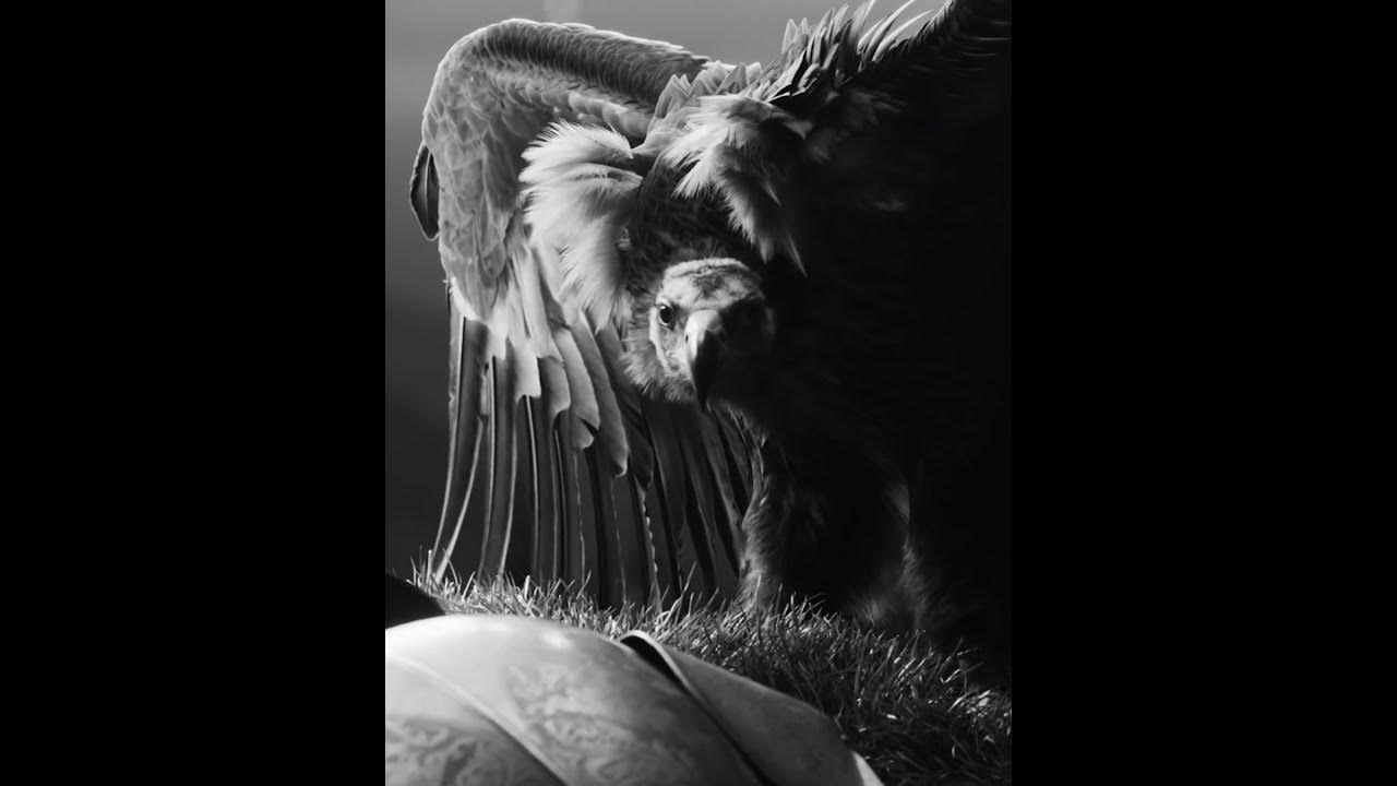 WOW🔥🔥🔥🔥New song and music video from Falling in Reverse “God Is A Weapon” (Marilyn Manson) WOW🔥🔥🔥🔥New song and music video from Falling in Reverse “God Is A Weapon” (Marilyn Manson)