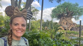 Private Safari at Animal Kingdom - Savor the Savannah -  Walt Disney World 2022