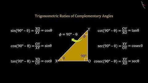 Trigonometric Ratios of Complementary Angles | Part 3/3 | English | Class 10