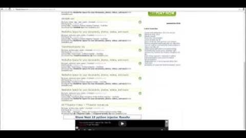 Python Injector Link