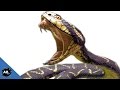 Deadliest Snakes In The World! SnakeBytesTV - Ep. 395 : AnimalBytesTV