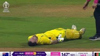 Glenn Maxwell Injury Glenn Maxwell Double Centurymaxwell 200 Runs