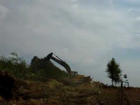 Excavator taking down big tree