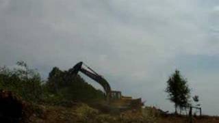 Excavator taking down big tree