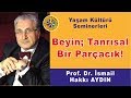 Prof. Dr. İsmail Hakkı Aydın - Beyin Tanrısal Bir Parçacık!