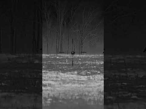 New 223 Bolt Gun 223 