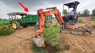 TATA Hitachi 20U Excavator and John Deere 4x4 Tractor Work together to Fertilizing Lemon Trees