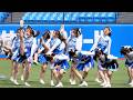 【東京大学】東京六大学野球 開会式チアパフォーマンス(春季)