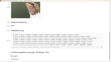 Webinar de Mathematica - Introducción al procesamiento de imágenes con Wolfram Language