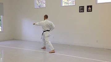 Roundhouse, Backfist Strike, Reverse Punch | IKD Testing Syllabus videos| Shotokan Karate 2013