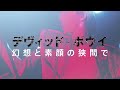 「デヴィッド・ボウイ 幻想と素顔の狭間で」特報