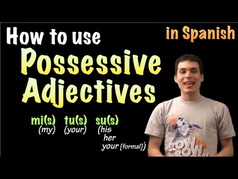 01041 Spanish Lesson - Possessive adjectives (part 1)