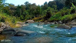 SERENE RIVER SOUNDS – TRANQUIL STREAM FLOW OVER ROCKS TO CALM MIND & IMPROVE DEEP SLEEP #216