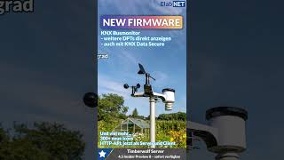 Insider Preview 8 für den Timberwolf Server verfügbar – Neue DPT für KNX Busmonitor