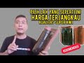 HARGA TERJANGKAU !! GENTENG MORANDO GLAZUR JATIWANGI SUPER KW1