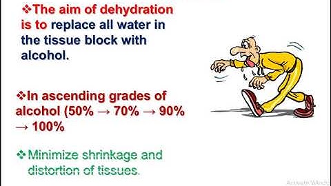 Preparation of tissue& microtechnique