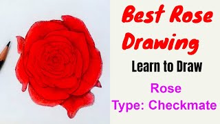 how to draw a rose checkmate easy drawing of rose colour pencil shading of rose flower