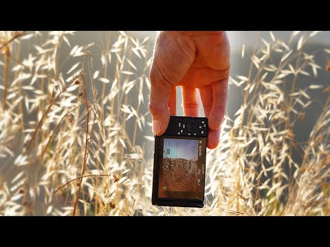 Why I bought the SONY ZV-1.  960fps SLOWMO.