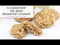 3-Ingredient No-Bake Almond Butter Breakfast Cookies | A Vegan, Dairy Free, + Gluten Free Recipe