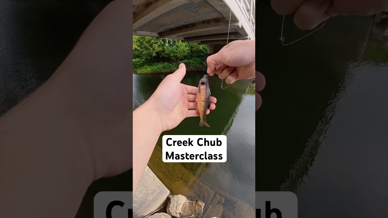 Definitely one of the fishing videos of all time