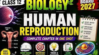 🎯 Human Reproduction NCERT Complete Explanation | Class 12 Biology