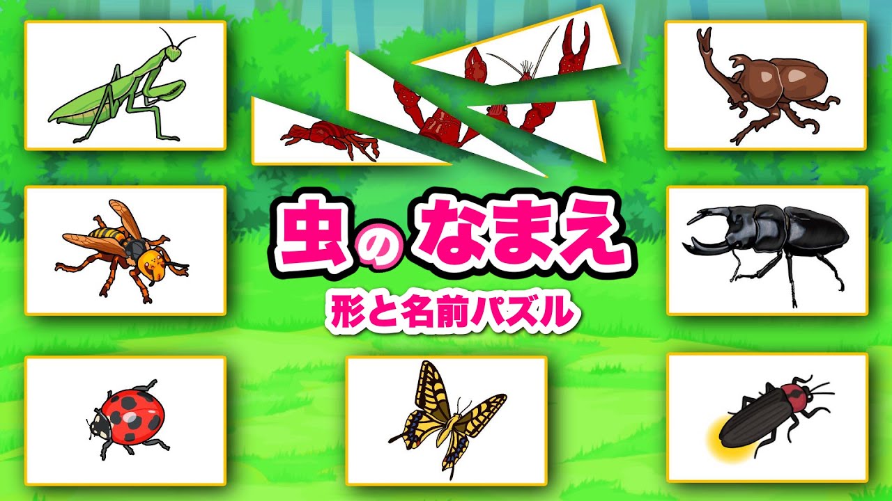 昆虫の名前】こんちゅうのなまえ！パズルで覚えよう〈カブトムシ