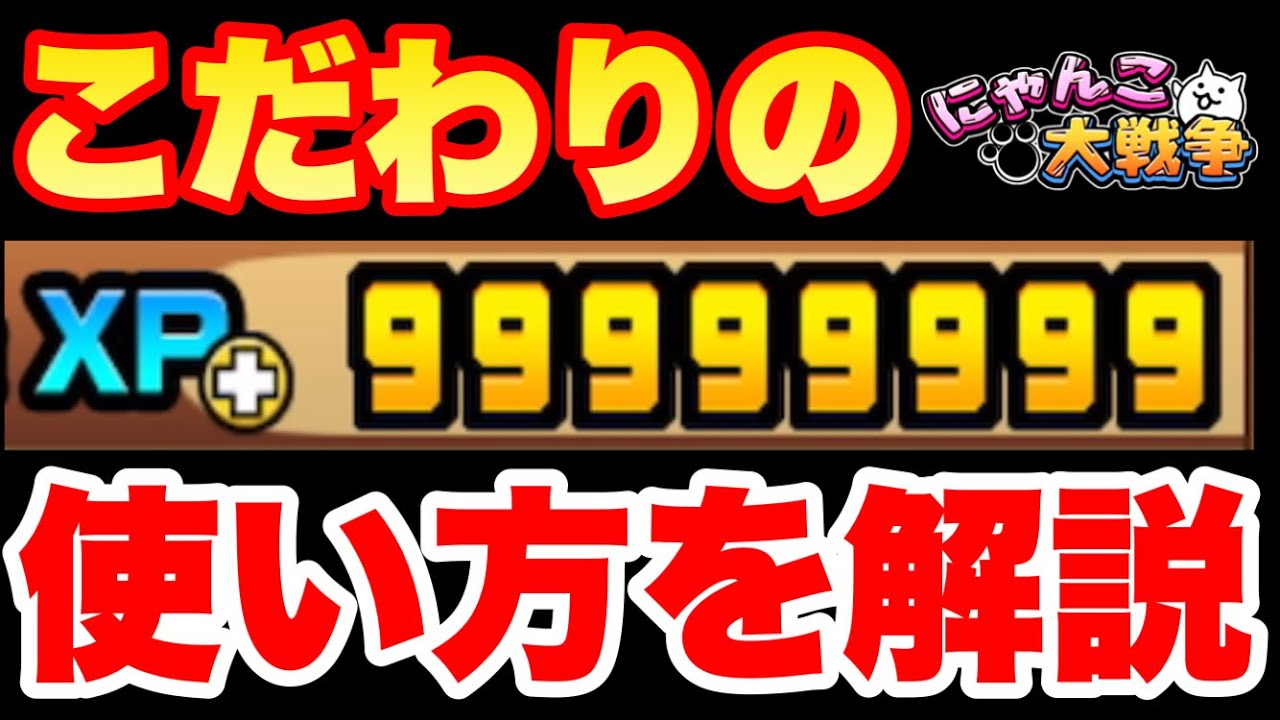 Explaining how to use Max XP with care #The Battle Cats - YouTube