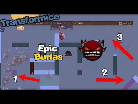 Transformice - EPIC