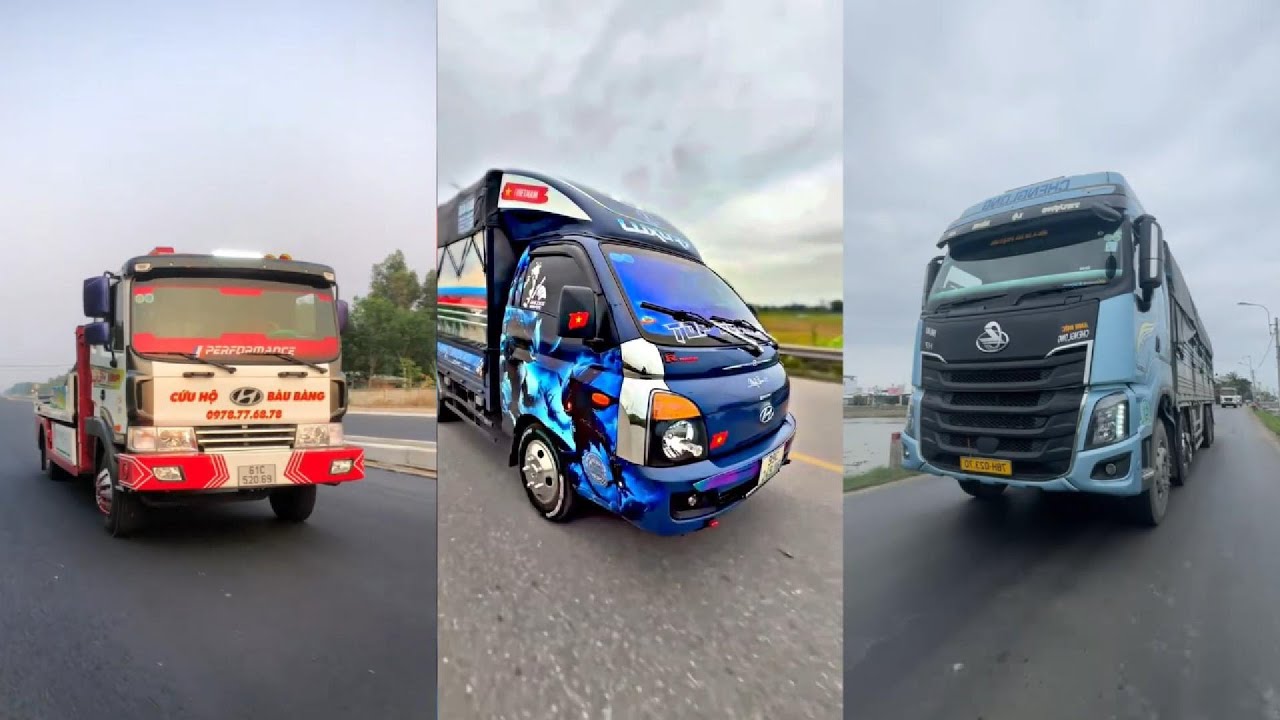 Tổng Hợp Kèn Basuri, Kèn Ong Vàng, Kèn Thái Độ