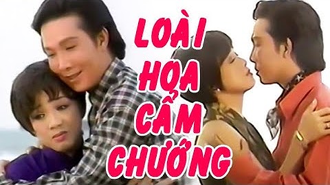 HOA CẨM CHƯỚNG | Cải lương Vũ Linh, Phương Hồng Thủy, Thoại Mỹ CLXH | Cải Lương Tôi Yêu