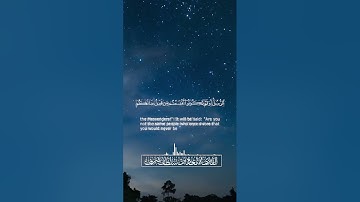 آواخر سورة إبراهيم - بصوت القارئ / معاذ بن سلطان شرف. تراويح  رمضان - ١٤٤٤هـ