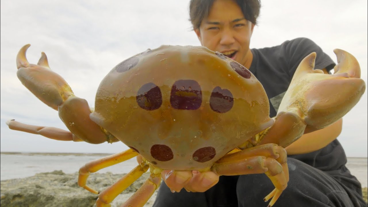 シガテラに当たったぐらいで俺が諦めると思うなよ。毒ガニにリベンジ。