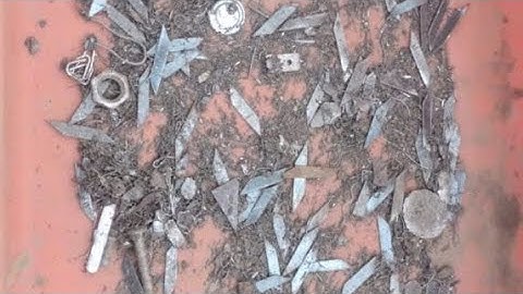 Một lần kéo 116 con át rô nha anh em kéo cả buổi cả ngàn con #hutdinhtuthien #chungtayvicongdong 