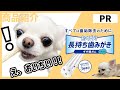 【PR商品紹介】