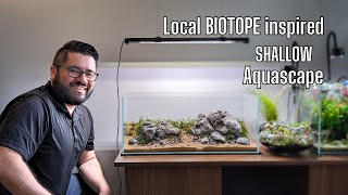Local Biotope INSPIRED Shallow Aquascape  Dry Start!