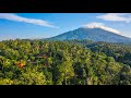 A tour of Bali's pioneering & award winning Eco lodge | Sarinbuana Eco Lodge