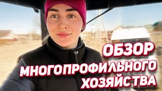 Наша деревенская жизнь и помощь робота NEATSVOR X500! Молодая ферма