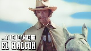 Y le llamaban El Halcón | PELÍCULA DEL OESTE | Cine Occidental | Español | Spaghetti Western