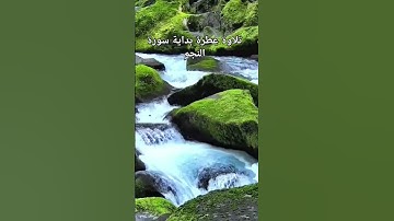 تلاوة خاشعة للقارى  جمال ياسين #قران #تلاوة  #خشوع #اسلام  quran# #islam #prayer #vlog # #explore