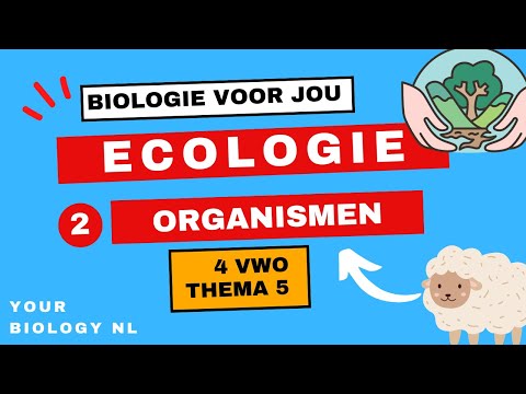 Video: Wat is 'n verbruiker in ekologie?