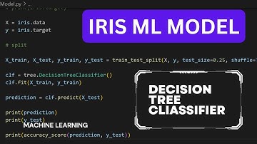IRIS DATASET MACHINE LEARNING MODEL | DECISION TREE CLASSIFIER | HINDI