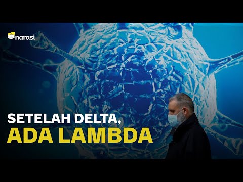 Video: Kepala NASA Mengatakan Bahwa Mereka Sedang Belajar Di Site-51 - Pandangan Alternatif