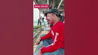 bang jagong ngadalang di jati gede