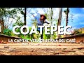 Video de Coatepec