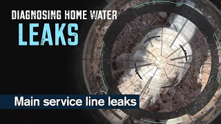 Diagnosing Home Water Leaks: Main Service Line
